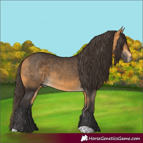 Horse Color:Buckskin 
