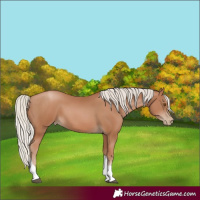 Horse Color:Silver Black Pearl Tobiano 