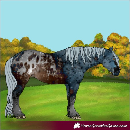 Horse Color:ERROR: UNKNOWN ANOMALY