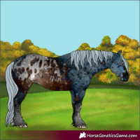 Horse Color:ERROR: UNKNOWN ANOMALY