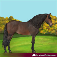 Horse Color:Brown 