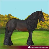 Horse Color:Brown 