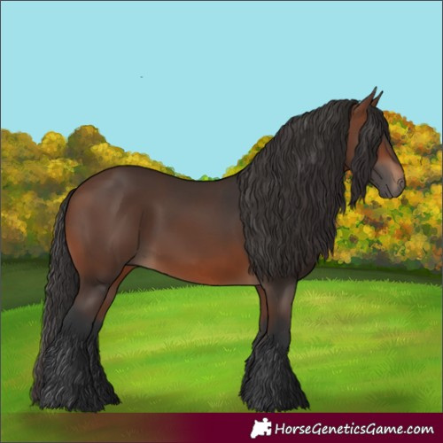 Horse Color:Brown 