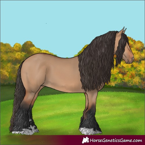 Horse Color:Bay Dun 