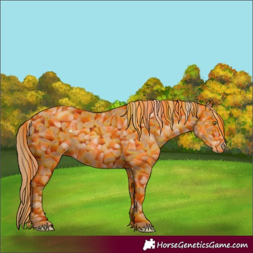 Horse Color:Gold Champagne 