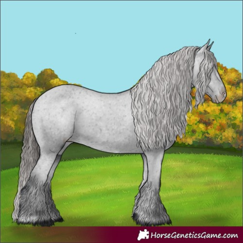 Horse Color:Black Varnish Rabicano 