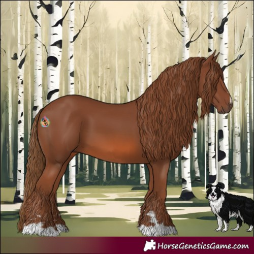 Horse Color:Chestnut 