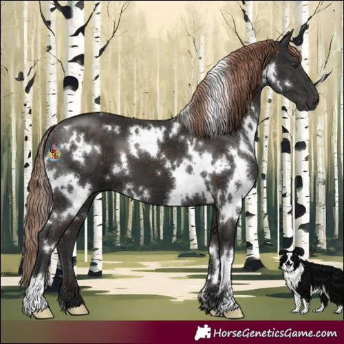 Horse Color:White Spotted Liver Chestnut 