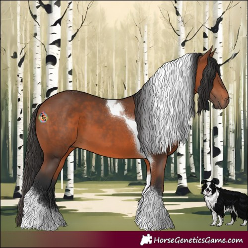 Horse Color:Bay Tobiano