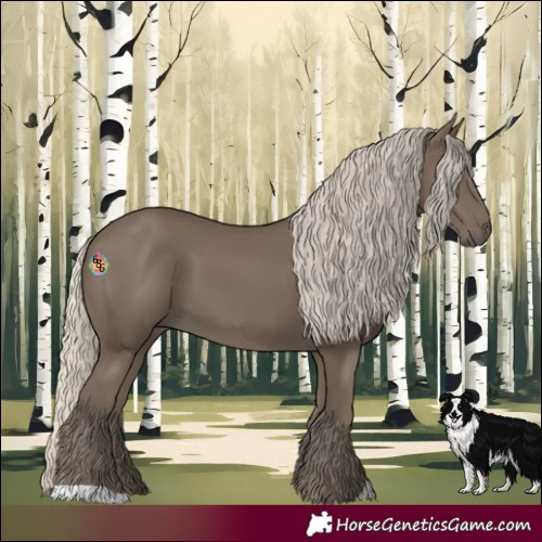 Horse Color:Silver Smoky Black 