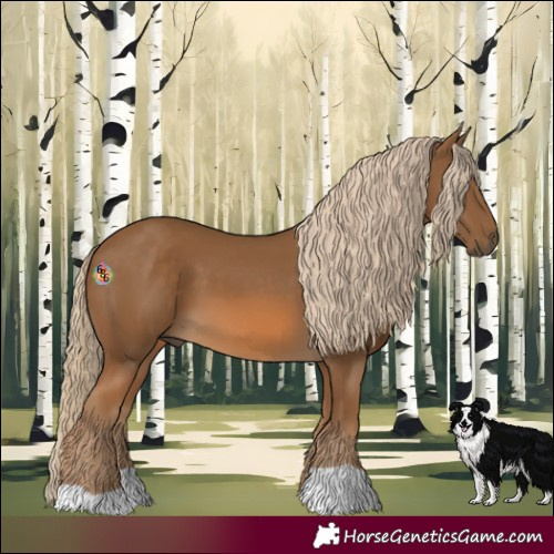Horse Color:Chocolate Palomino 