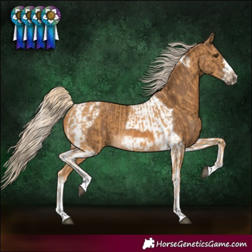 Horse Color:Palomino  and Chocolate Palomino Tobiano Frame 