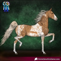 Horse Color:Palomino  and Chocolate Palomino Tobiano Frame 