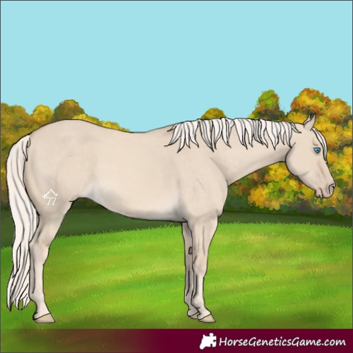 Horse Color:Cremello Dun