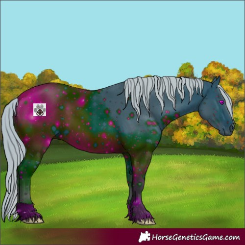 Horse Color:ERROR: UNKNOWN ANOMALY