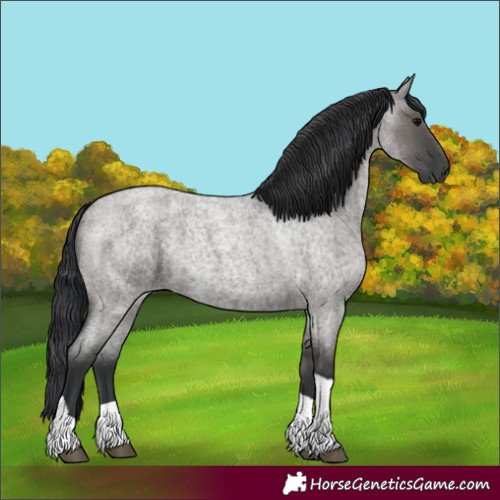 Horse Color:Grullo Roan Tobiano