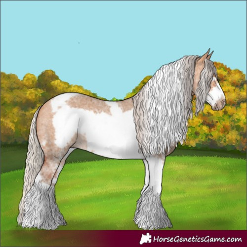 Horse Color:Silver Bay Dun Sabino Tobiano Frame Rabicano