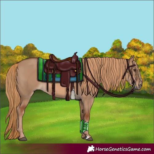 Horse Color:Red Dun 