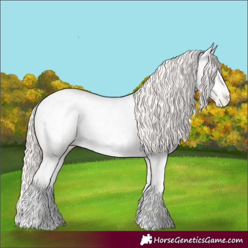 Horse Color:Perlino Appaloosa 