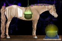 Horse Color:Liver Chestnut Pearl 