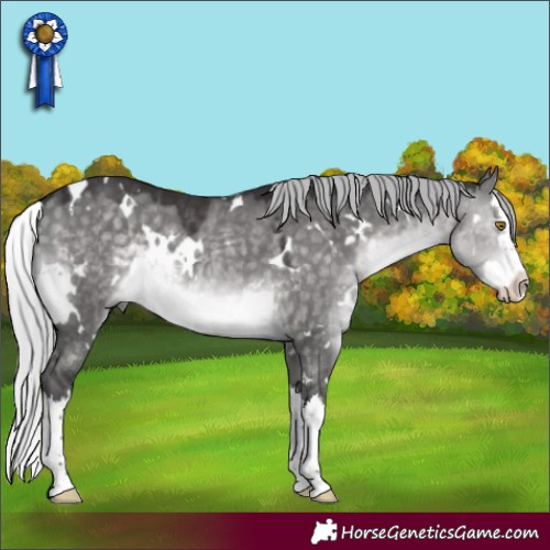 Horse Color:Platinum White Spotted Silver Buckskin Dun Splash Rabicano 
