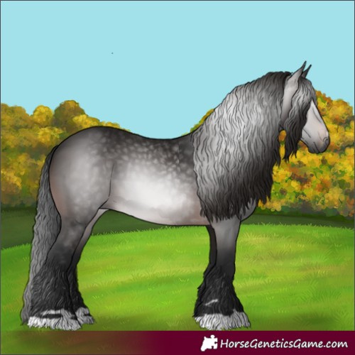 Horse Color:Gray Brown 