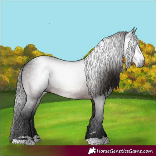 Horse Color:Gray Brown 