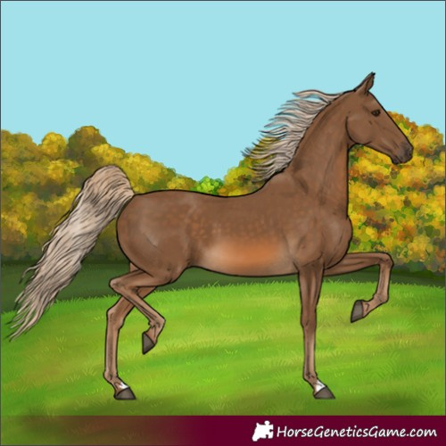 Horse Color:Chocolate Palomino 