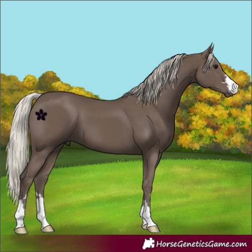 Horse Color:Silver Black 