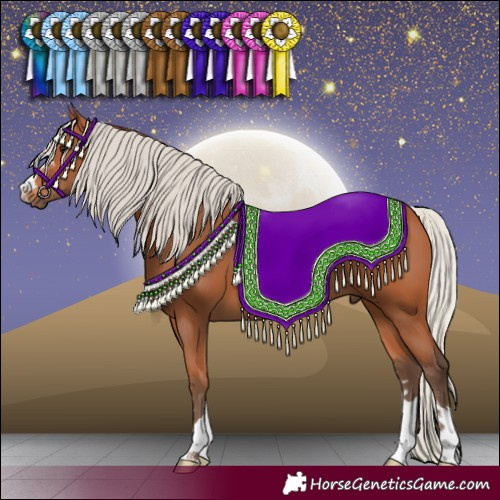 Horse Color:Silver Bay 