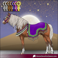 Horse Color:Silver Bay 