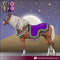 Horse Color:Silver Bay 