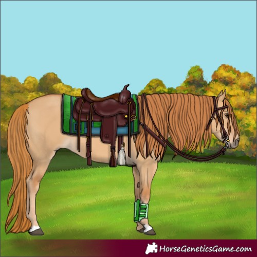 Horse Color:Red Dun