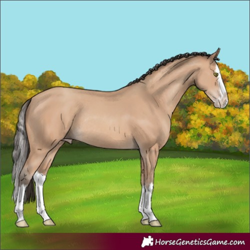 Horse Color:Amber Champagne Splash Rabicano 