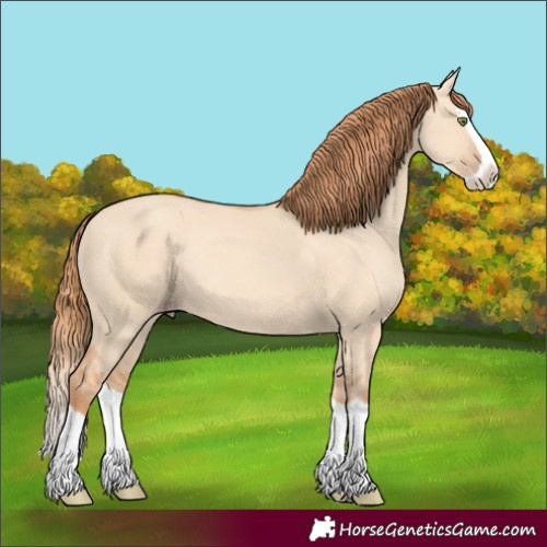 Horse Color:Gold Champagne Dun Splash Rabicano 