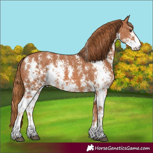 Horse Color:Chestnut Sabino