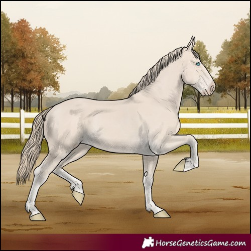 Horse Color:Smoky Creme 