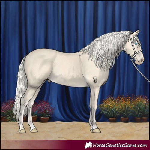 Horse Color:Cremello 