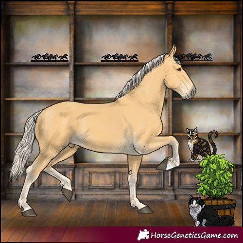 Horse Color:Palomino 