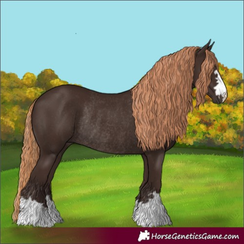 Horse Color:Liver Chestnut Rabicano 