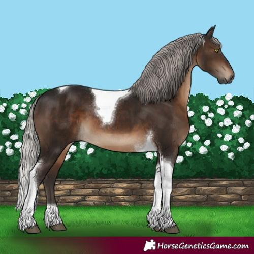 Horse Color:Gray Silver Brown Mushroom Tobiano 