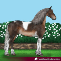 Horse Color:Gray Silver Brown Mushroom Tobiano 