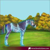 Horse Color:Painted Thunderstruck White Spotted Bay Onyx