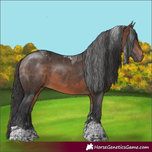 Horse Color:Brown Tobiano 