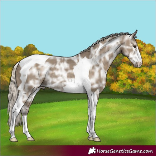 Horse Color:Silver Smoky Black Ice Tobiano 