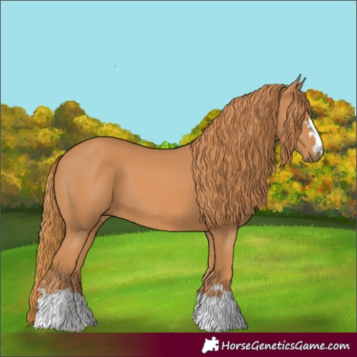 Horse Color:Chestnut 
