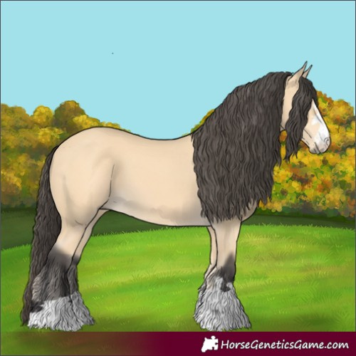 Horse Color:Buckskin 