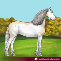 Horse Color:Silver Amber Champagne Dun Splash Frame 