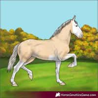Horse Color:Palomino Splash Varnish