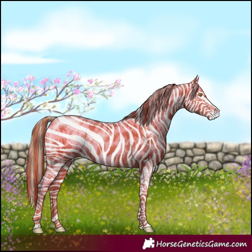 Horse Color:Gold Champagne Appaloosa and Gold Champagne Appaloosa